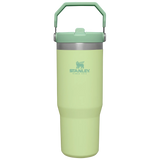 Stanley The IceFlow Flip Straw Tumbler | 30 OZ