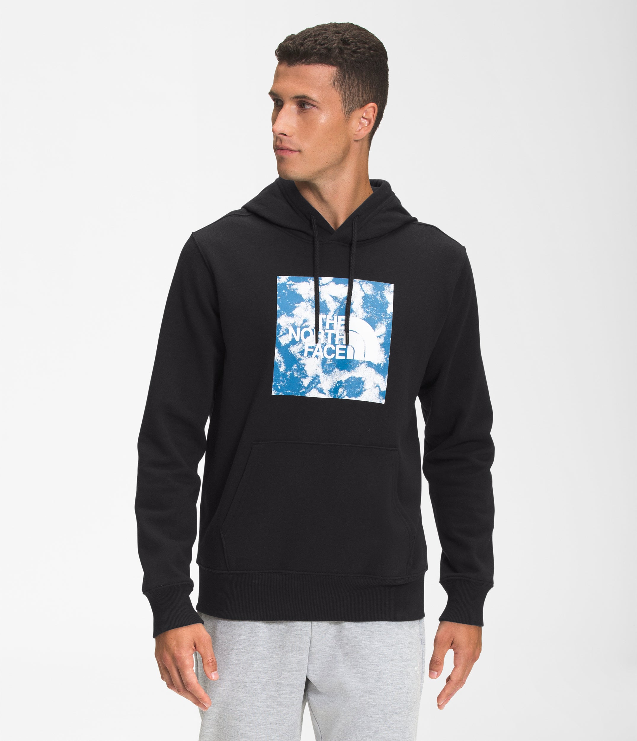 Men's Boxed In Pullover Hoodie - Image 1 - North Face